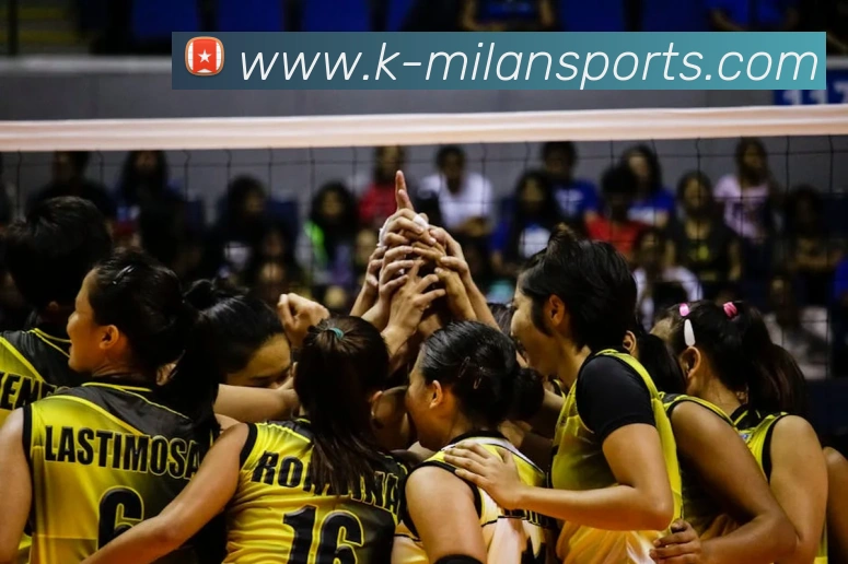 米兰体育平台生态图